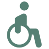 disability-icon